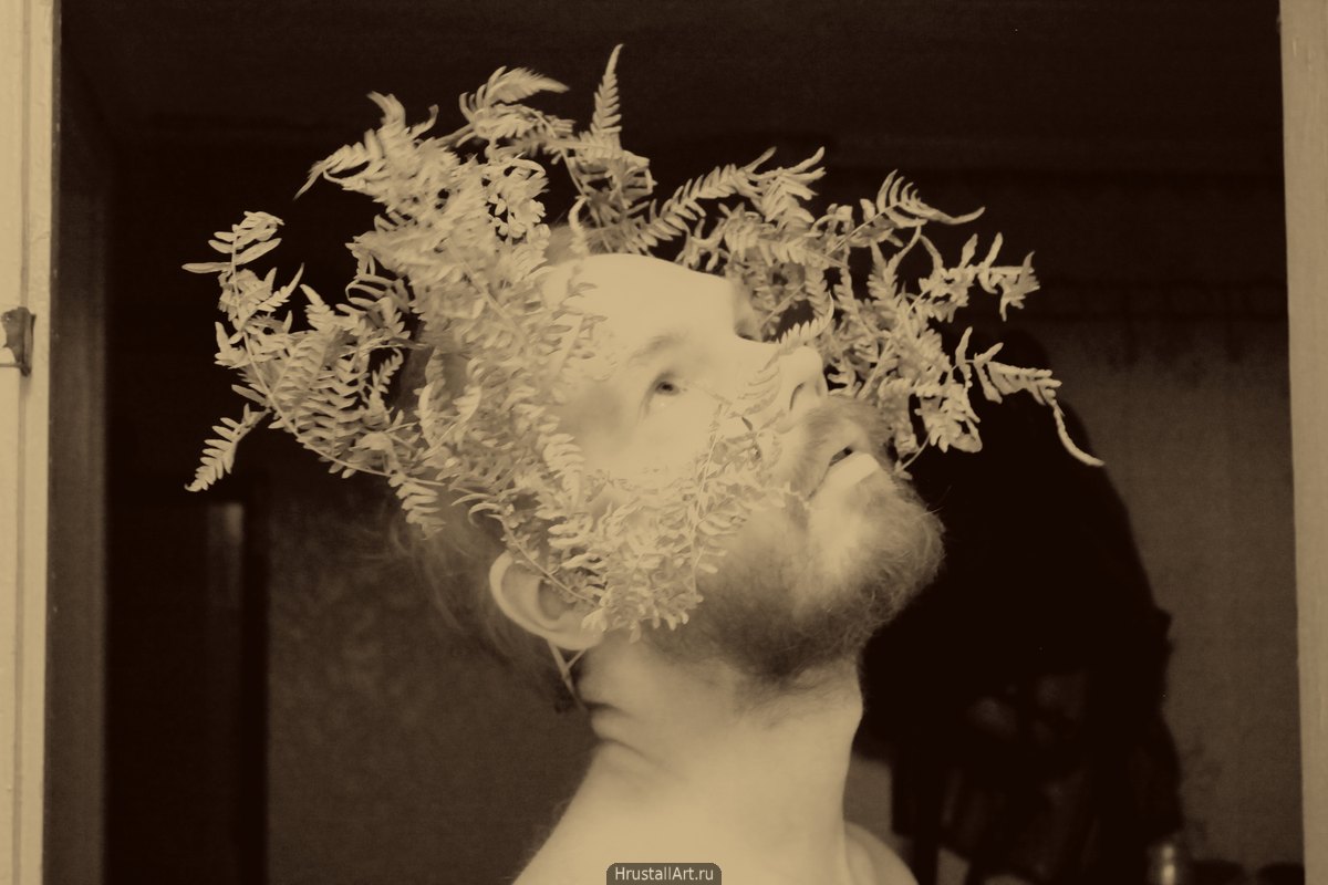 Фотография, Ироничный портрет мужчины, голова украшена сухими листьями папоротника.